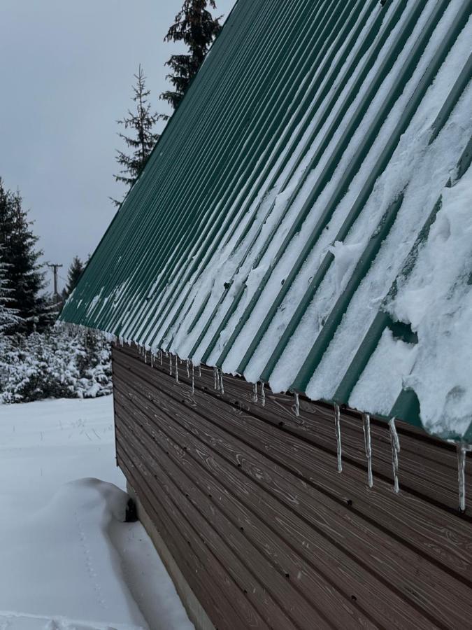 Villa Pejovic Žabljak エクステリア 写真